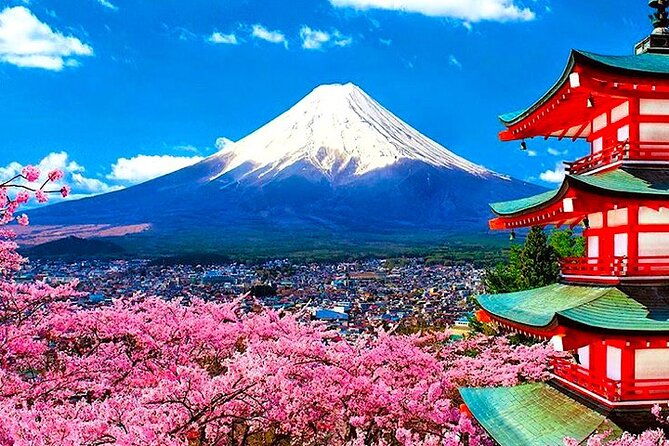 private-mount-fuji-and-hakone-sightseeing-day-trip-with-guide