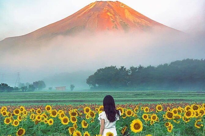 private-mount-fuji-and-hakone-sightseeing-day-trip-with-guide