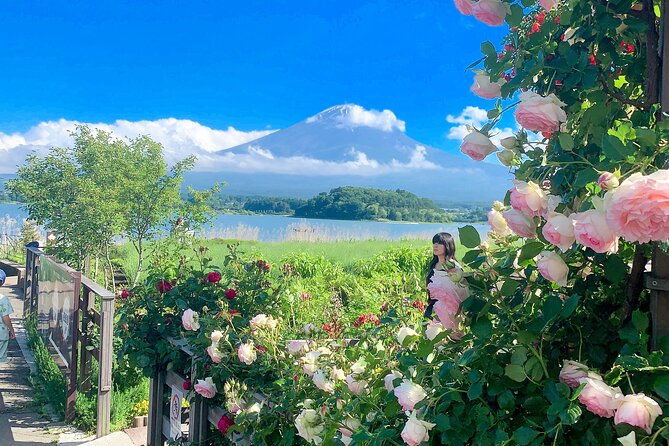 private-mount-fuji-and-hakone-sightseeing-day-trip-with-guide