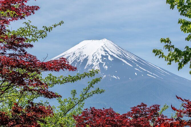 Private Mount Fuji And Hakone Tour with English Guide - Key Points