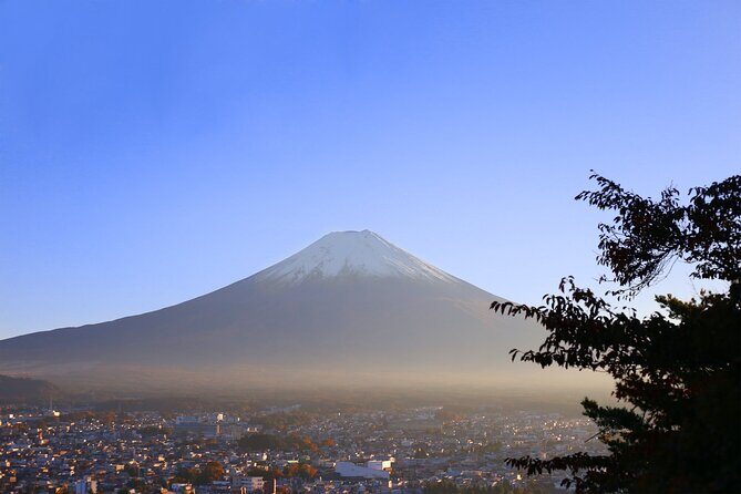 Private Mount Fuji And Hakone Tour with English Guide - About the Price and Value