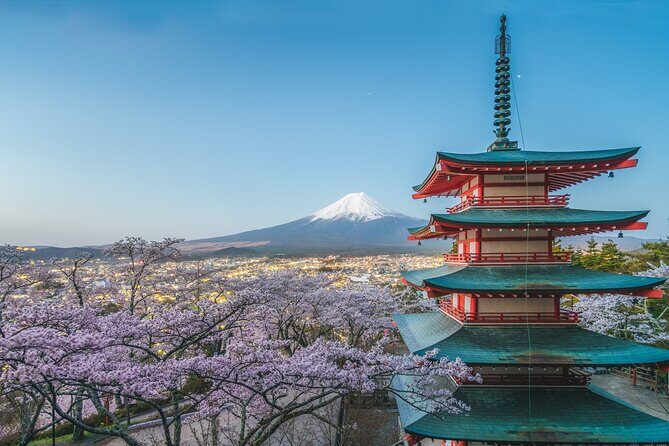 Private Mount Fuji And Hakone Tour with English Guide - The Sum Up