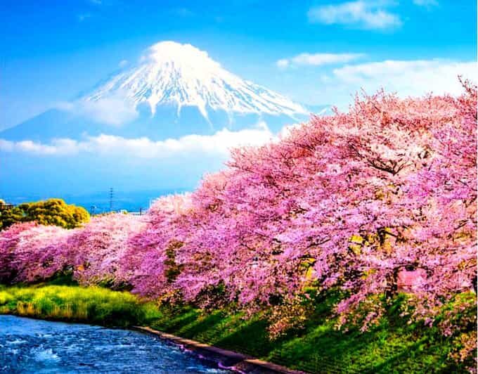Private Mount Fuji sightseeing Day trip with English Guide - Key Points