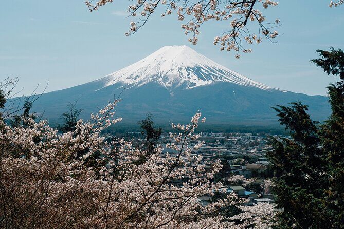 Private Mount Fuji Tour: Scenic Views, Lakes & Local Culture - Exploring the Private Mount Fuji Tour: Scenic Views, Lakes & Local Culture