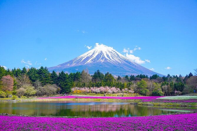 private-mount-fuji-tours-with-car-pickup-from-tokyo