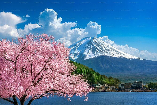 private-mount-fuji-tours-with-car-pickup-from-tokyo