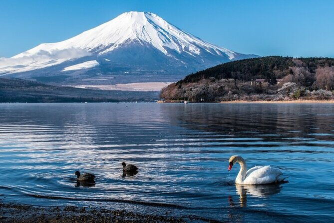 private-mount-fuji-tours-with-car-pickup-from-tokyo
