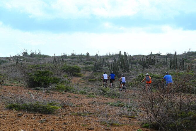 private-mountain-bike-tour-in-aruba