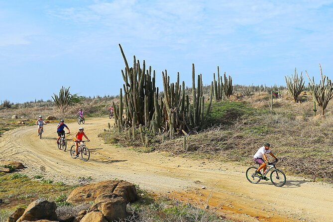 private-mountain-bike-tour-in-aruba