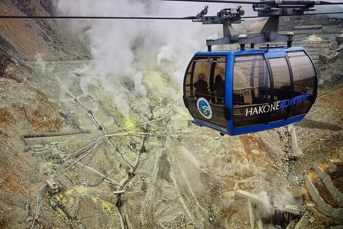 Private Mt Fuji and Hakone Day Tour from Tokyo - Final Thoughts