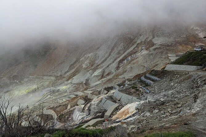 Private Mt Fuji and Hakone Day Tour from Tokyo - FAQ