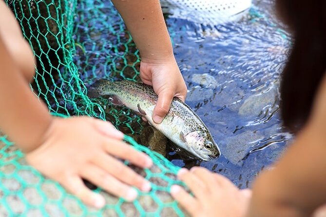 private-mt-fuji-catching-fish-and-bbq-tour-with-hotel-pick-up