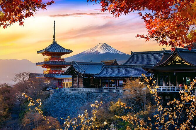 Private Mt. Fuji Day Trip from Tokyo with English-Speaking Driver - Who Will Love This Tour?