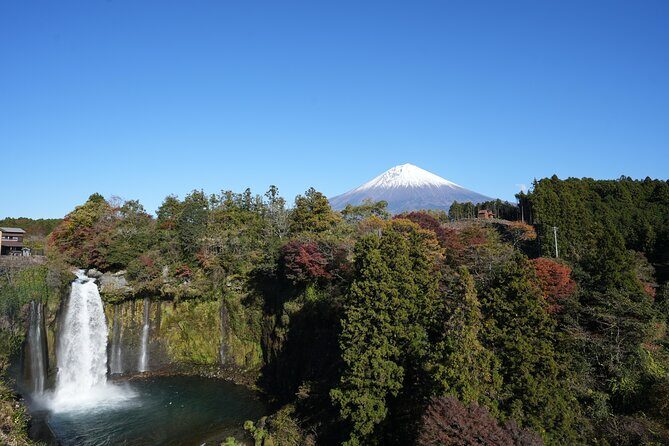 Private Mt. Fuji Day Trip from Tokyo with English-Speaking Driver - Frequently Asked Questions