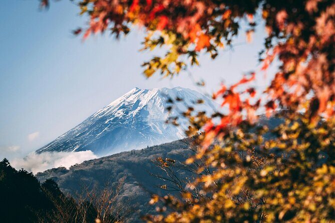 Private Mt. Fuji & Hakone Day Tour  Scenic Views & Hot Springs - Authentic Experiences and Useful Insights from Reviews