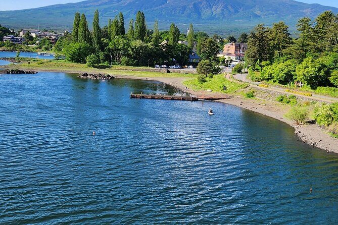 Private Mt. Fuji & Hakone Day Tour  Scenic Views & Hot Springs - The Sum Up: Who Will Love This Tour?