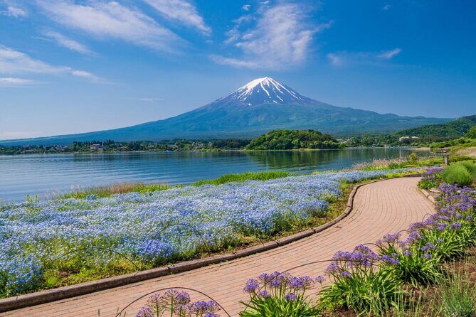 Private Mt Fuji Tour with English Speaking Driver - Captivating Day Trip to Mount Fuji: A Detailed Look at the Private Tour with an English-Speaking Driver