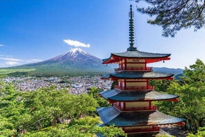 Private Mt Fuji Tour with English Speaking Driver - The Itinerary Unpacked: What to Expect on Your Day