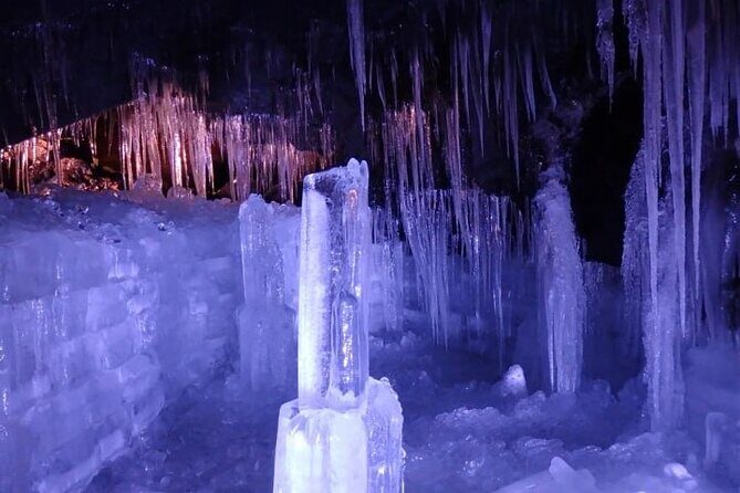 Private Mt Fuji Tour with English Speaking Driver - Who Will Love This Tour?