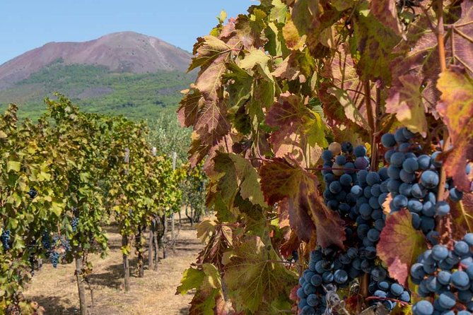 private-mt-vesuvius-and-pompeii-with-lunch-and-wine-farm-experience