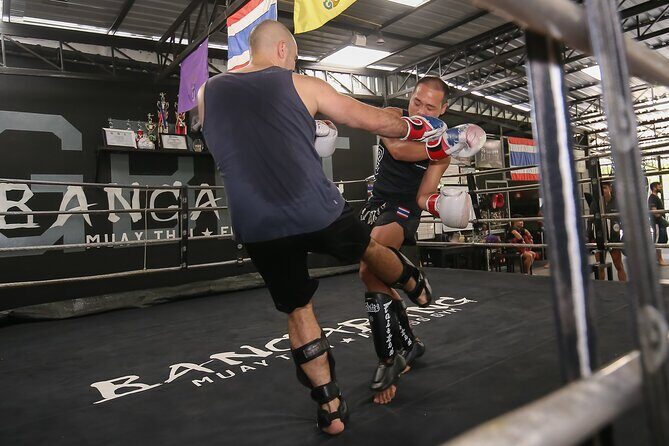Private Muay Thai Training in Chiang Mai with Pickup - Real Traveler Insights