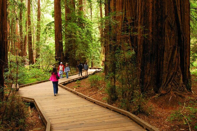 private-muir-woods-sausalito-and-marin-headlands-tour