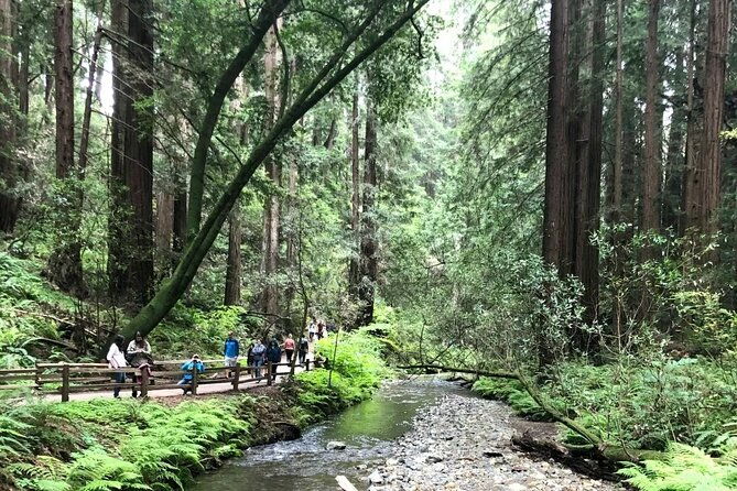 private-muir-woods-sausalito-and-marin-headlands-tour