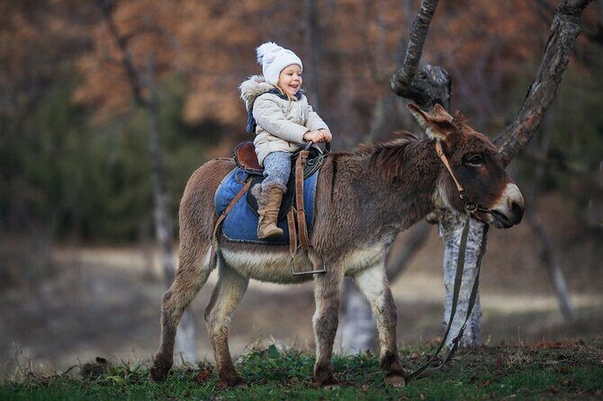 Private Mules Tour from Chefchaouen - The Sum Up