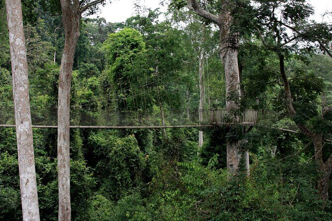 Private Multi-Day Ghana Tour about Culture History and Wildlife - 7 Days - Kakum National Park and Wildlife