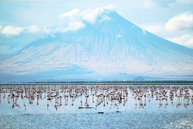 Private Multi day Safari tour in Tanzania - FAQ