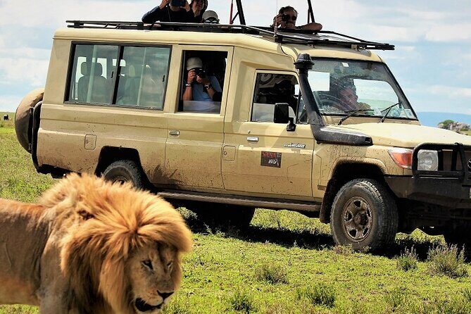 Private Multi Day Serengeti Safari - Discover the Wonders of Tanzania with a Private Multi-Day Serengeti Safari