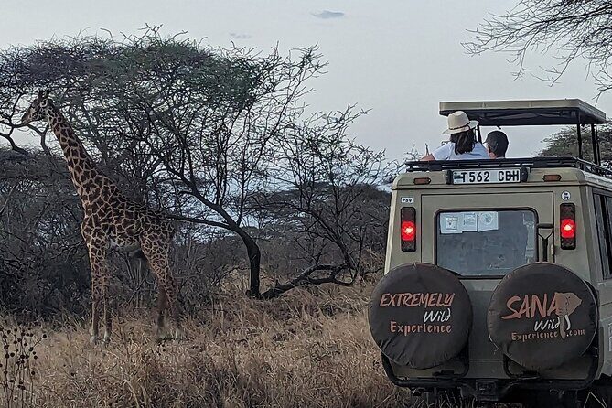 Private Multi Day Tour Tanzania Safari - FAQ