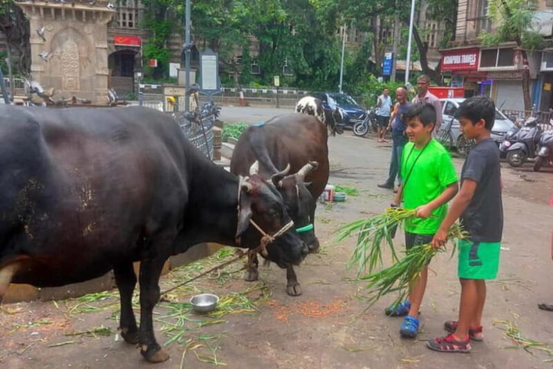 Private Mumbai Sightseeing Tour - An Authentic Look at Mumbai’s Sights and Sounds