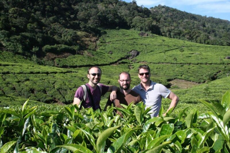 Private Munnar Tea Trek - The Experience of a Guide: Knowledge, Hospitality & Local Insights