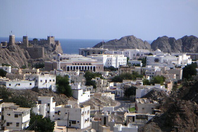 Private Muscat City Sightseeing Tour - A Fascinating Capital - Price and Value