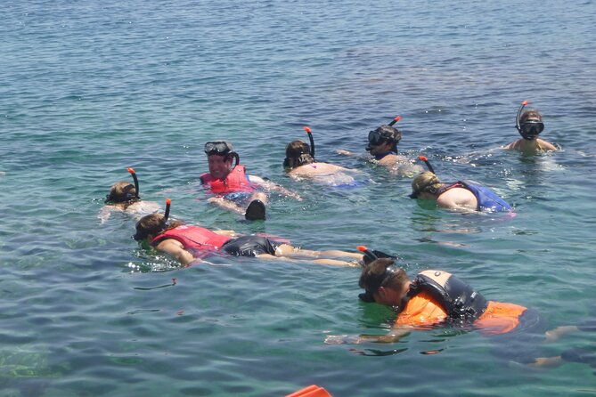 private-mykonos-nature-tour-by-minibus