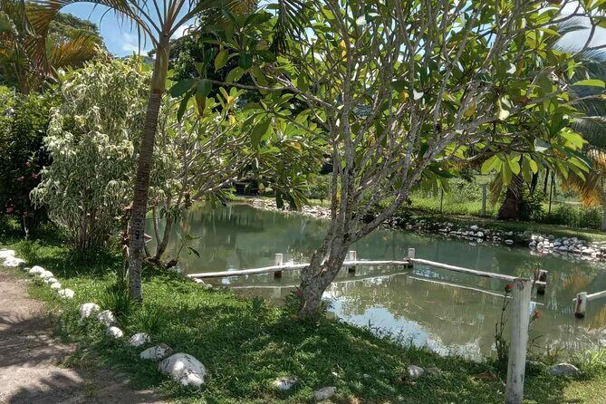 Private Nadi Temple Tour - Cultural Touch: Nadi and Tappoos Craft Shop