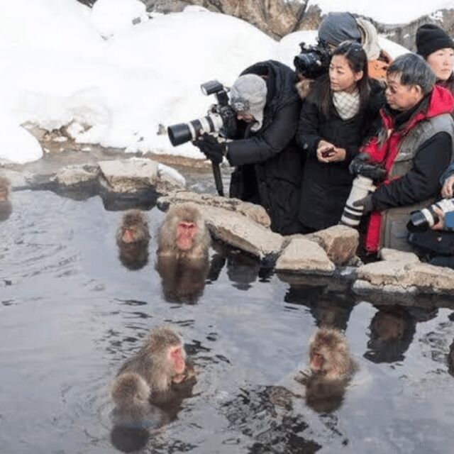 Private Nagano Day Trip: Snow Monkeys & Historic Temples - Key Points