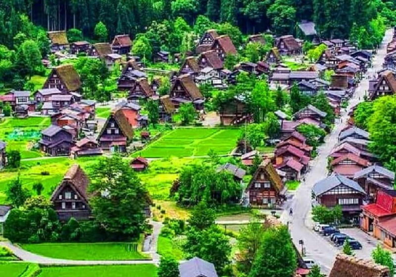 Private Nagoya & Shirakawa-go w/ English Driver - Real Travelers’ Insights