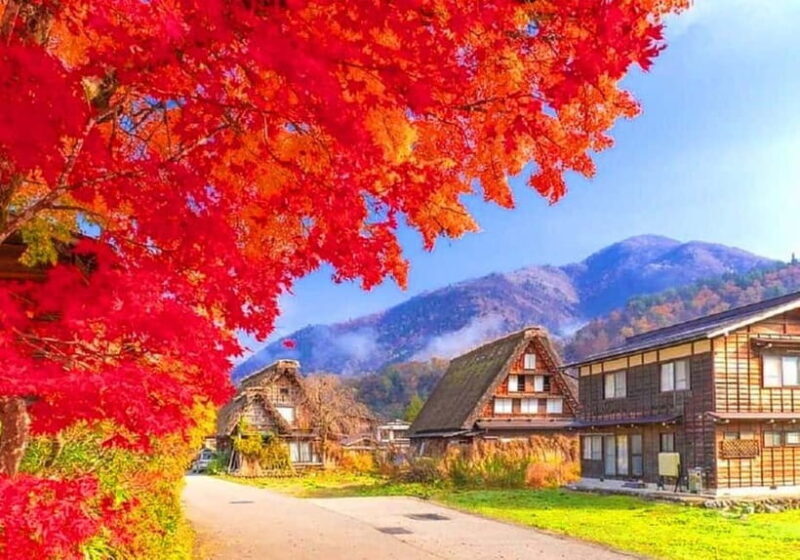 Private Nagoya & Shirakawa-go w/ English Driver - The Sum Up: Who Is This Tour Best For?