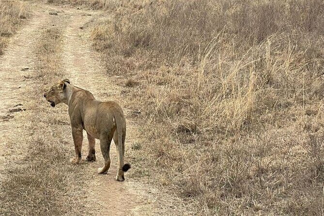 Private Nairobi National Park Day Tour - Practical Details and Tips