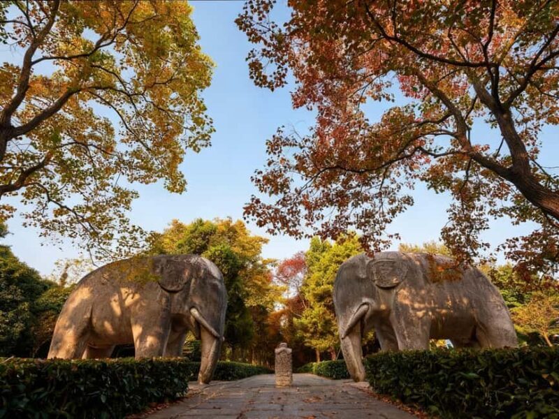 Private Nanjing Day Tour from Shanghai by Bullet Train - Key Points