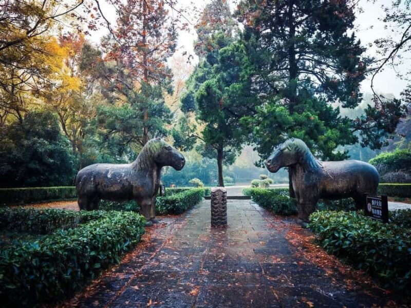 Private Nanjing Day Tour from Shanghai by Bullet Train - A Full Breakdown of the Tour Experience