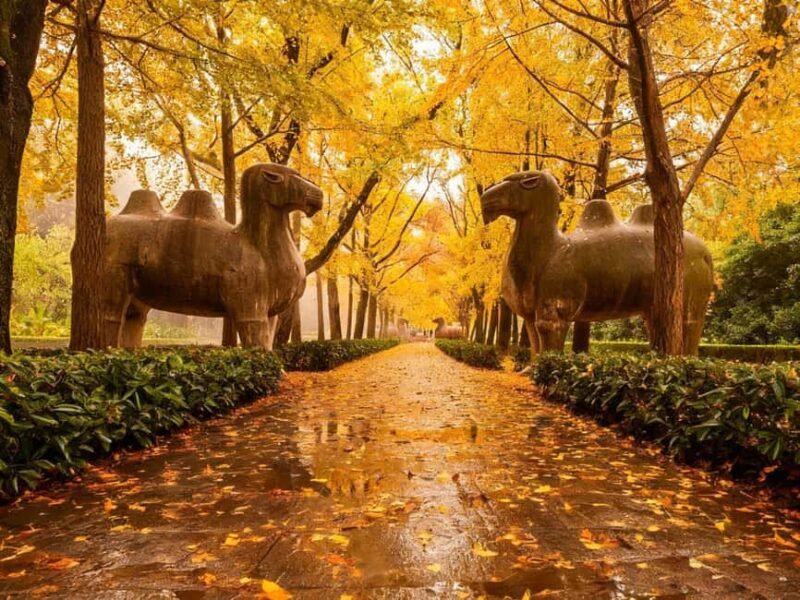 Private Nanjing Day Tour from Shanghai by Bullet Train - Cost and Value: Is It Worth It?