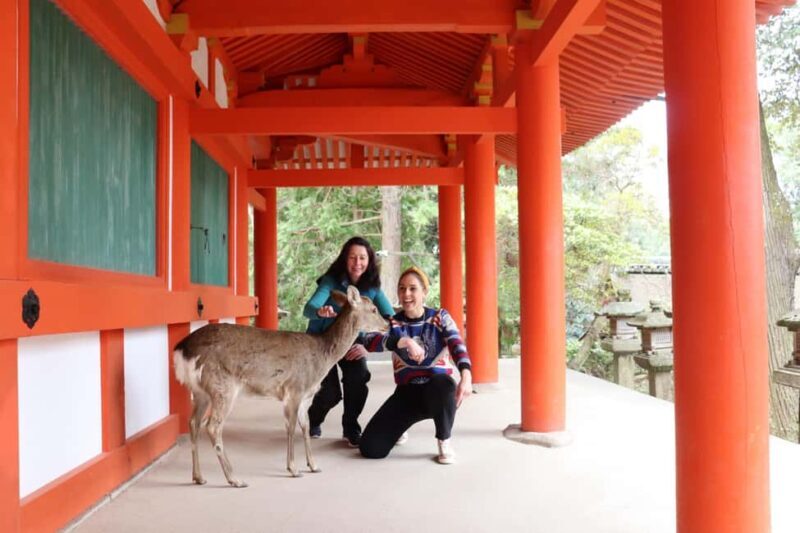 Private Nara Tour & Sake Tasting (Departing from Kyoto/Nara) - What Makes This Tour Special?