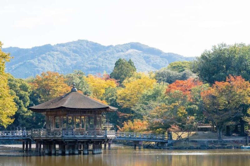 Private Nara Tour: Temples, Deer, and Photo Spots - The Sum Up