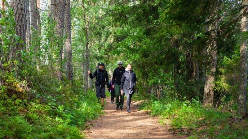 Private National Park and Porvoo Old Town tour from Helsinki - Final Thoughts