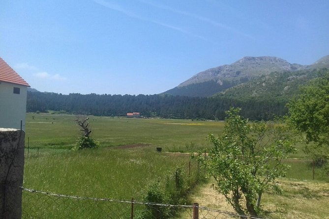private-national-park-lovcen-with-food-and-wine-tasting