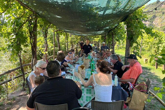 private-natural-wine-tasting-tour-lunch-sommelier-and-transfer