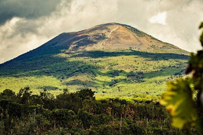 private-natural-wine-tasting-tour-lunch-sommelier-and-transfer